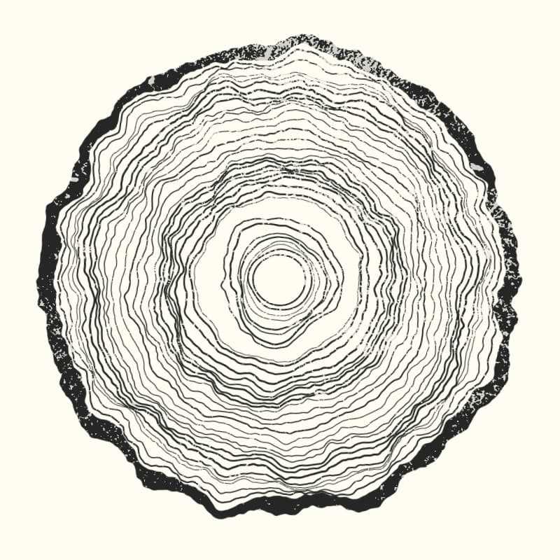 Tree Rings